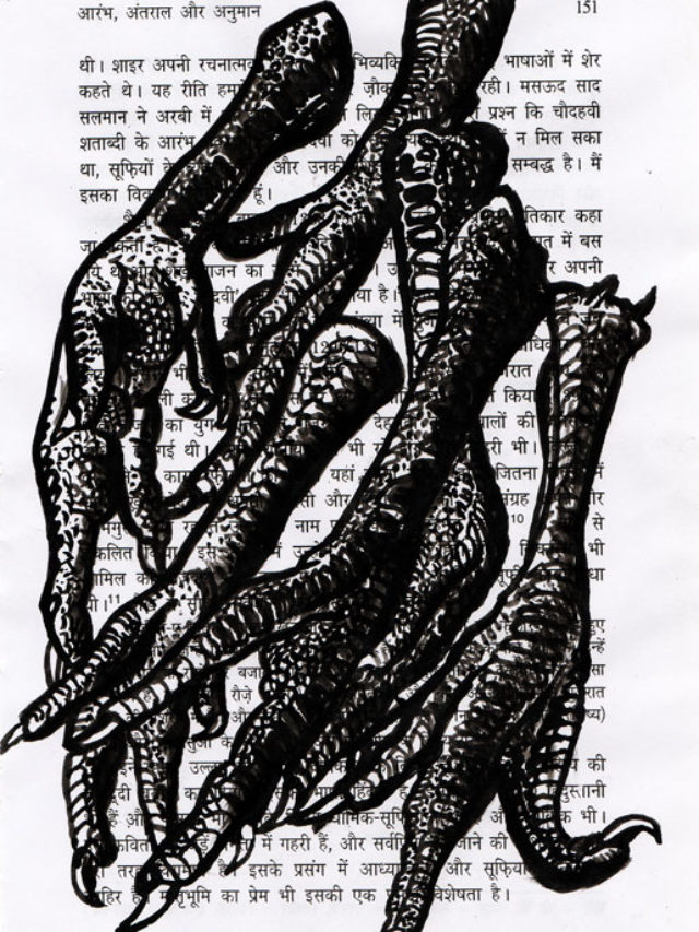 6 pattes de poulet, encre de chine sur page de livre, 2014