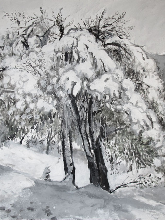 Oliviers sous la neige, 8 mars 2018 150x130cm