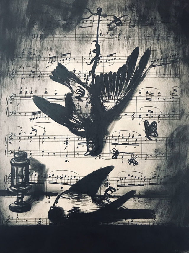 deux oiseaux morts, quatre insectes