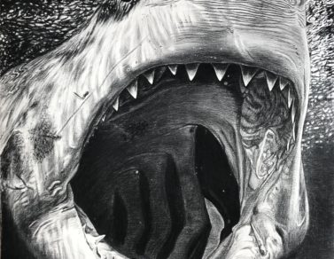 Carcharodon Carcharias, fusain sur Arches, 110x85cm, 2020