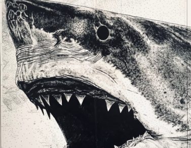 Shark, encre de chine sur carte maritime, 110x70cm, 2022