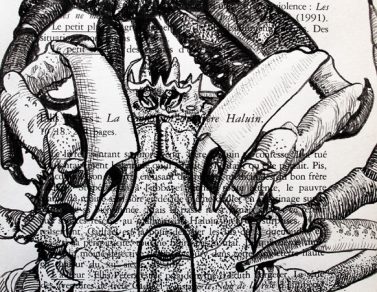 Araignées de mer, encre de chine sur page de livre, 2014