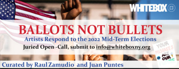ballots not bullets white box new york