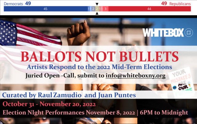 ballots not bullets expositions wbx new york