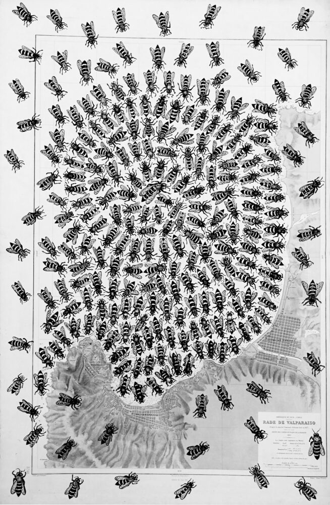 Les abeilles, encre de chine sur carte maritime