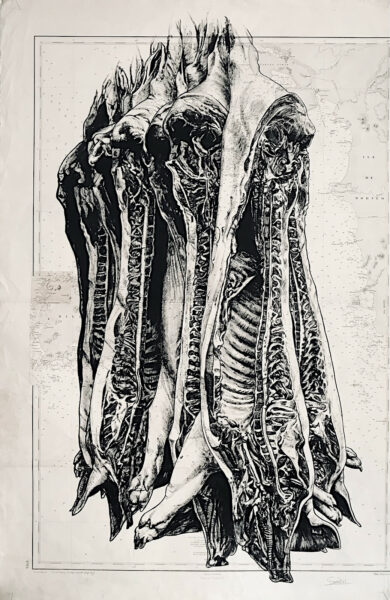 Carcasses, encre de chine sur cartes marines