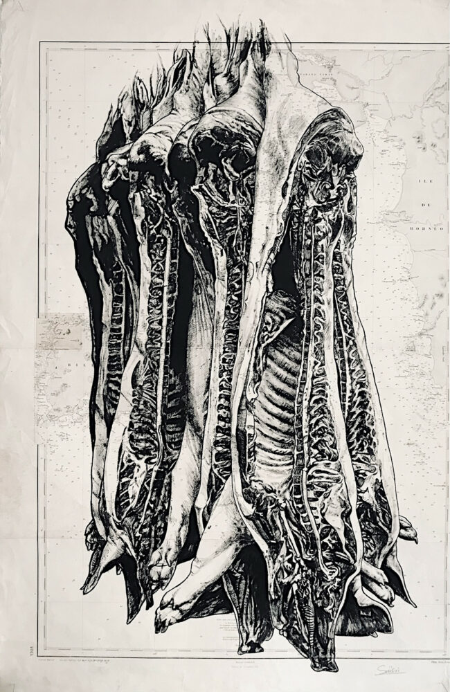 Carcasses, encre de chine sur cartes marines