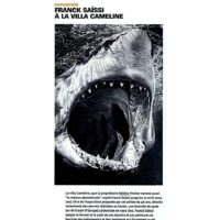 Article dans Monaco Hebdo sur l'exposition Lost de Franck Saïssi à la Villa Caméline