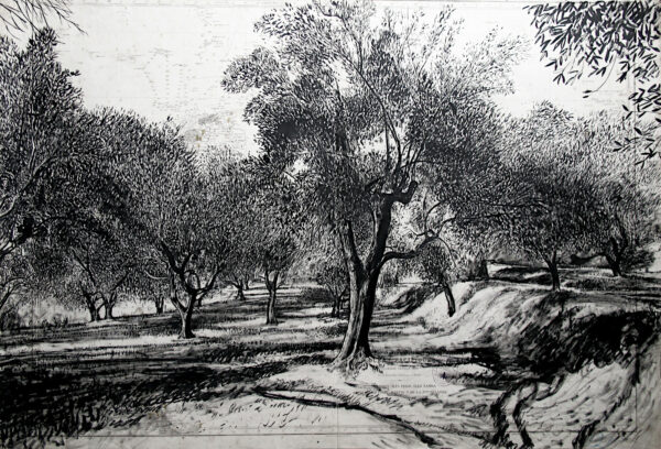 Oliveraie, dessin sur carte marine