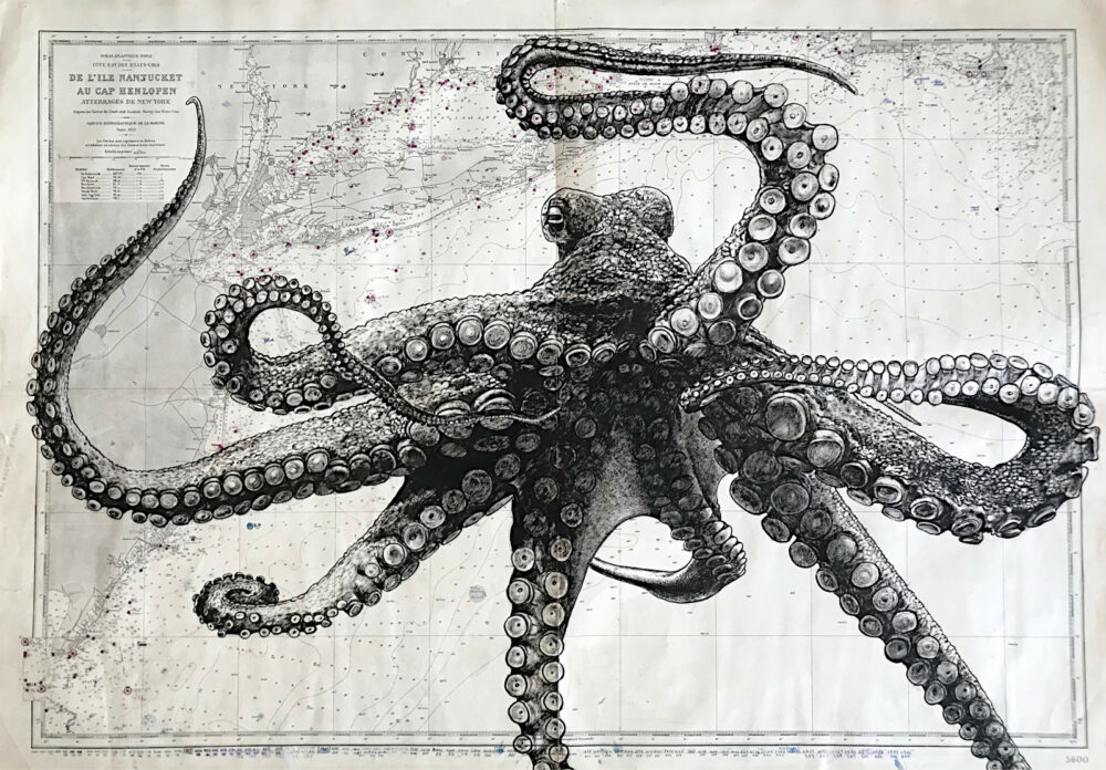 Le poulpe, encre de chine sur cartes marines