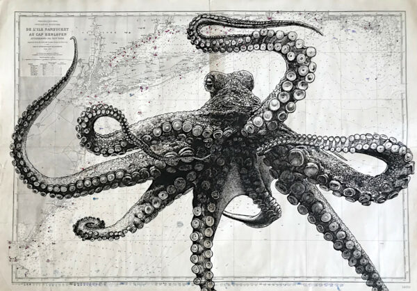 Le poulpe, encre de chine sur cartes marines