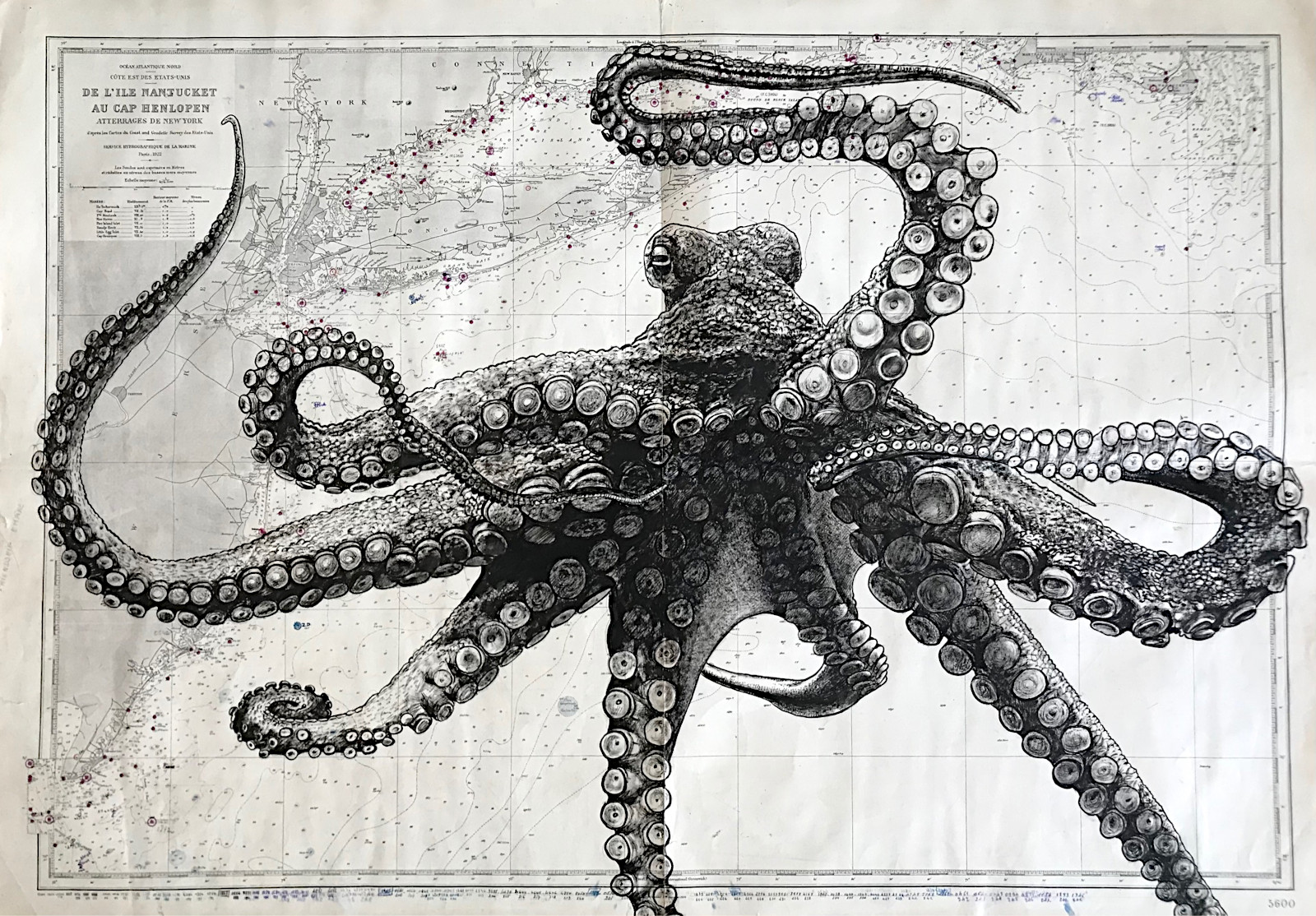 Le poulpe, encre de chine sur cartes marines