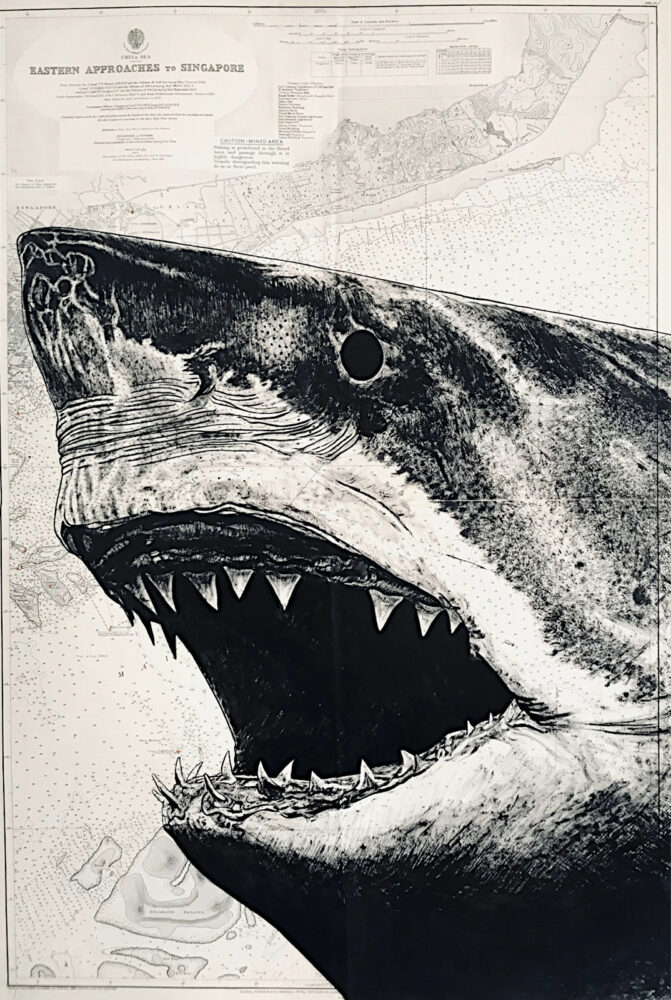 Requin, encre de chine sur cartes marines