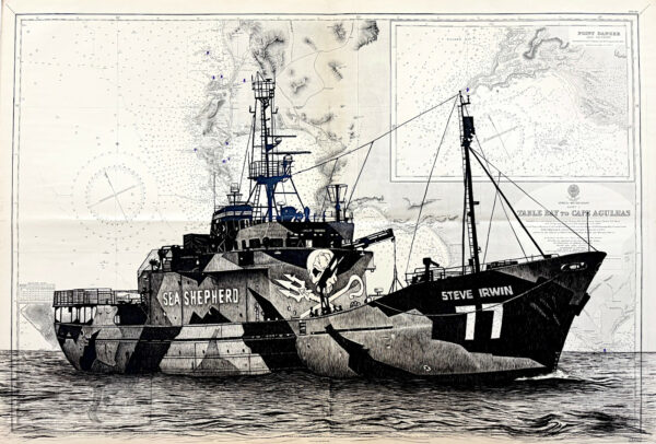 Le Steve Irwin, encre de chine sur cartes marines