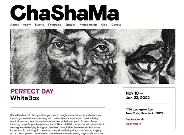 Détail de mon dessin d’Artaud utilisé pour illustrer l’article du webzine new-yorkais Chashama sur l’exposition Perfect Day à la WhiteBox