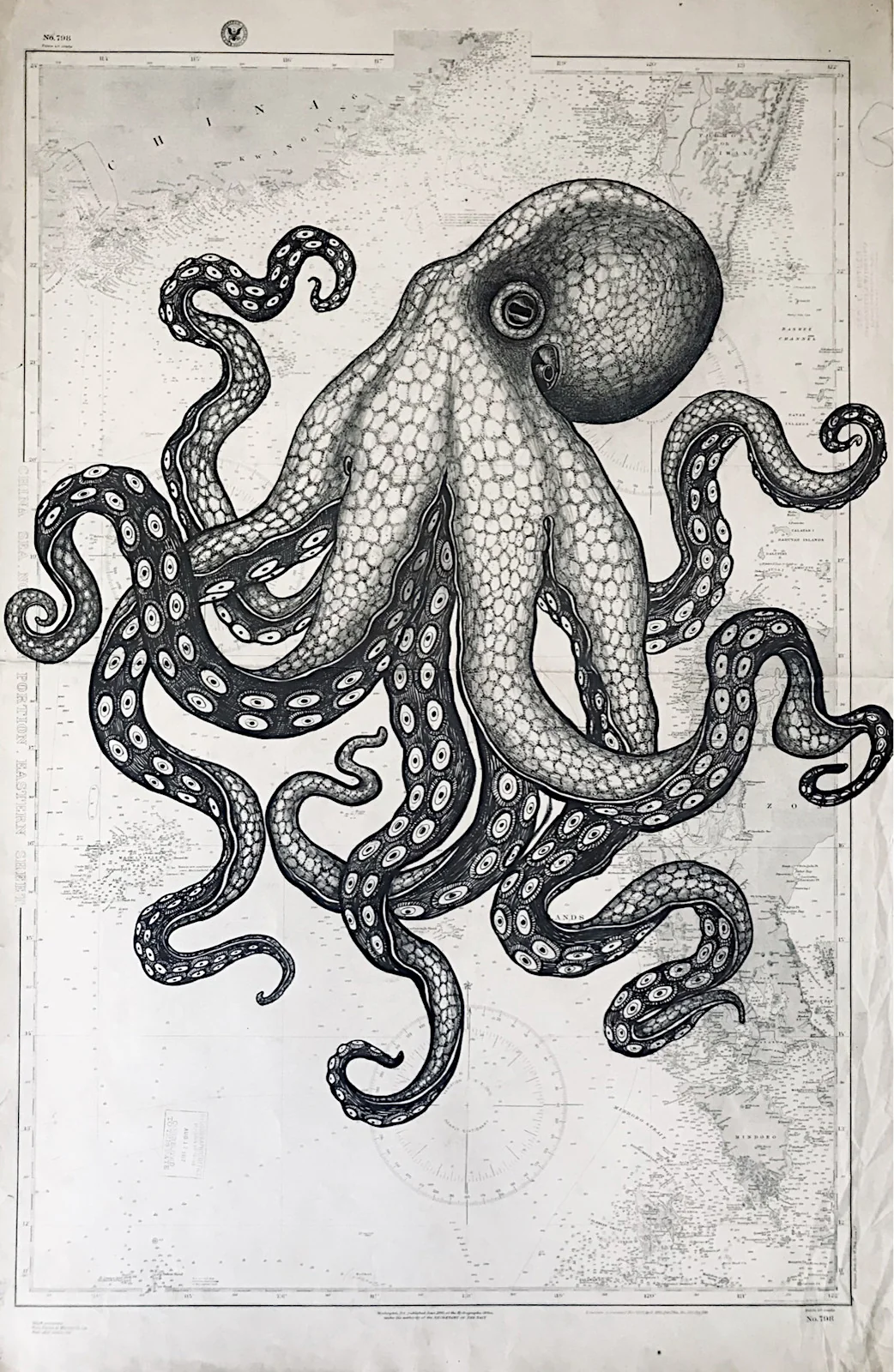 La pieuvre - dessin contemporain de Franck Saïssi, encre de Chine sur carte marine