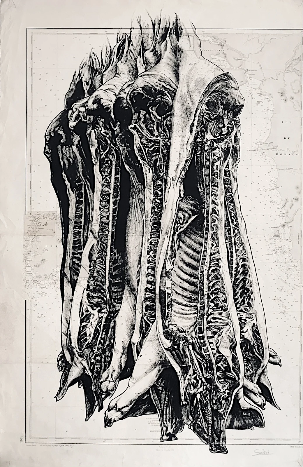 Carcasses - dessin contemporain de Franck Saïssi, encre de Chine sur carte marine