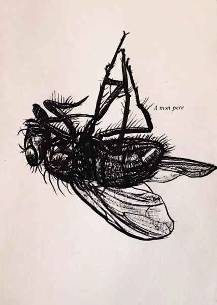 La mouche - dessin à l'encre de Chine sur page de livre par Franck Saïssi, série Fables d'ombres