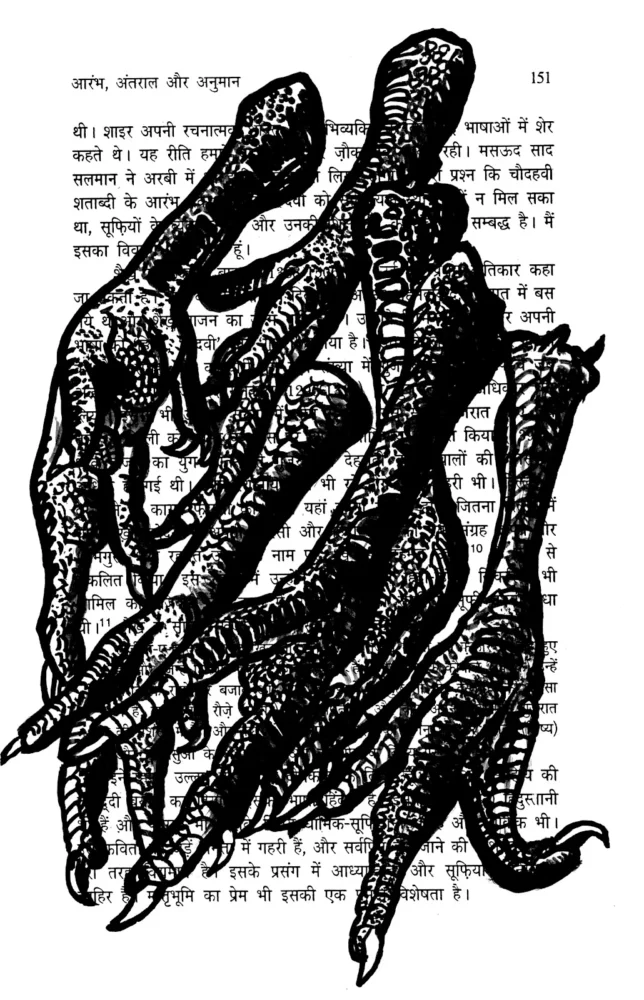 Pattes - dessin à l'encre de Chine sur page de livre par Franck Saïssi, série Fables d'ombres