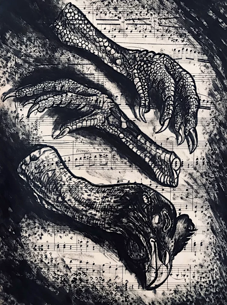 Tête et pattes - dessin à l'encre de Chine sur partition par Franck Saïssi, série Fables d'ombres