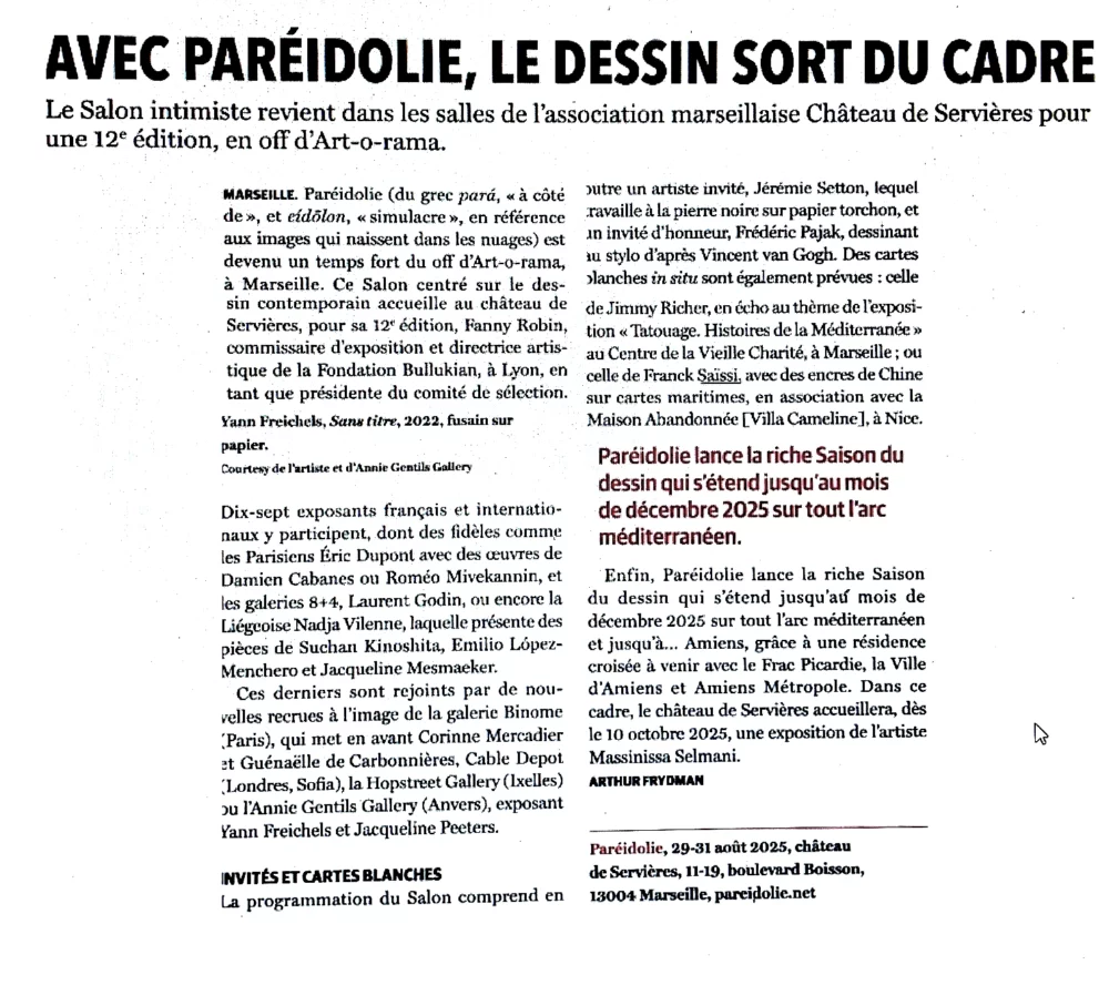 Article dans The Art Newspaper, sur le salon Paréidolie 2025