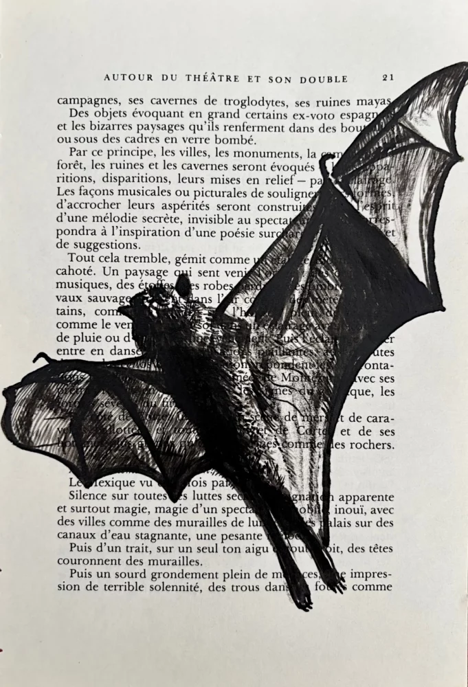Chauve-souris, encre de Chine sur page de livre par Franck Saïssi