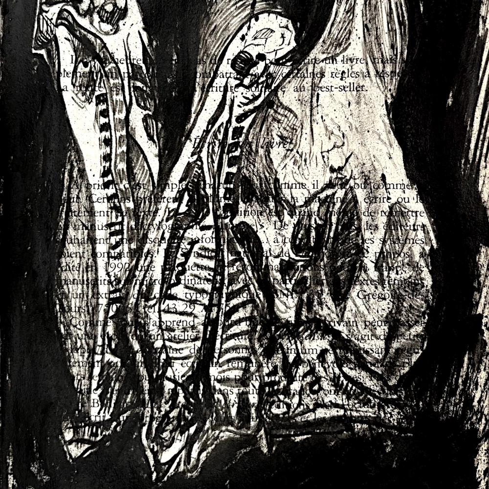 Detail des carcasses, encre de Chine sur page de livre par Franck Saïssi