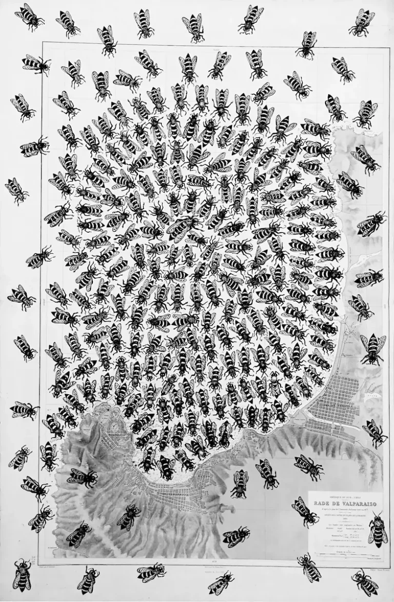 Abeilles - dessin contemporain de Franck Saïssi, encre de Chine sur carte marine