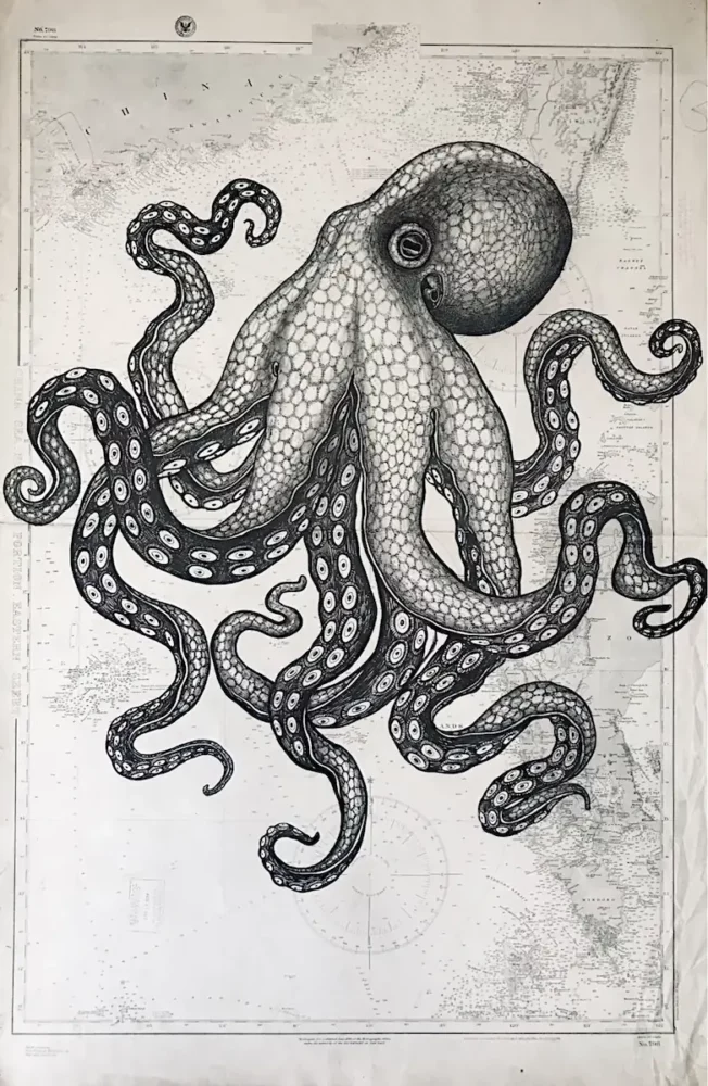 La pieuvre - dessin contemporain de Franck Saïssi, encre de Chine sur carte marine