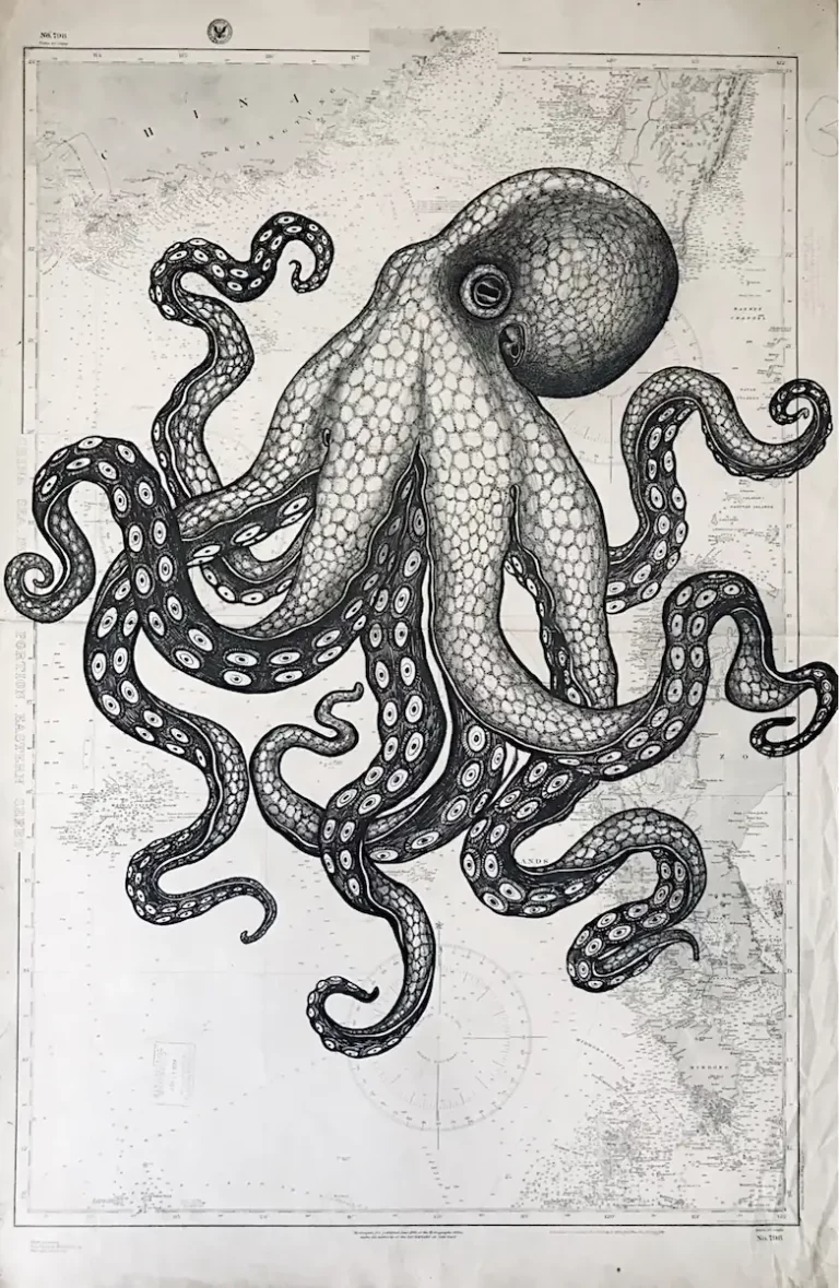 La pieuvre - dessin contemporain de Franck Saïssi, encre de Chine sur carte marine