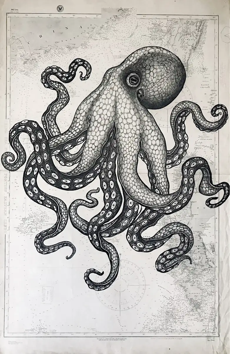 La pieuvre - dessin contemporain de Franck Saïssi, encre de Chine sur carte marine