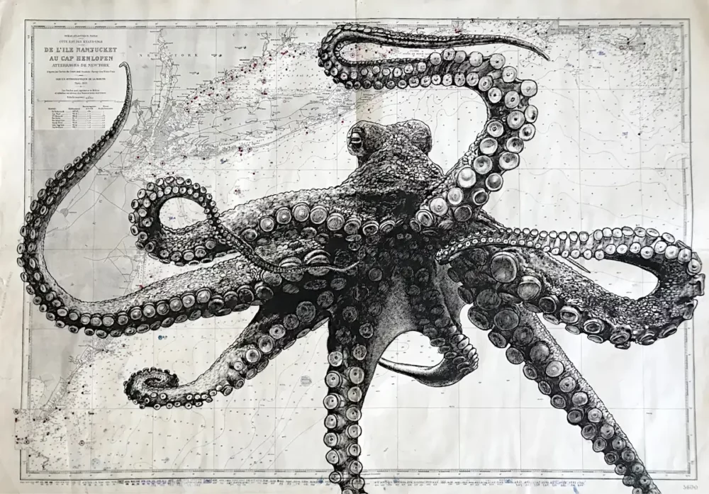 Poulpe - dessin contemporain de Franck Saïssi, encre de Chine sur carte marine