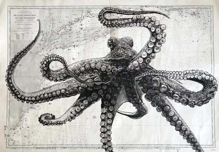 Poulpe - dessin contemporain de Franck Saïssi, encre de Chine sur carte marine