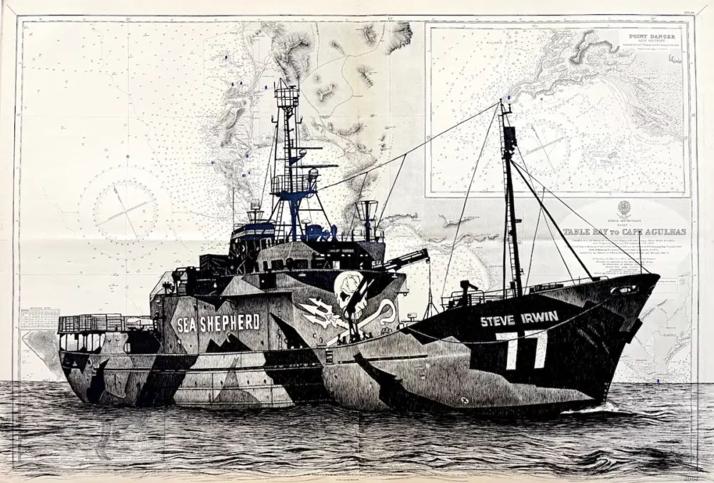 Steve Irwin - dessin contemporain de Franck Saïssi, encre de Chine sur carte marine