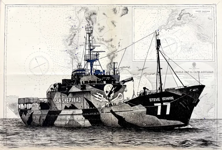 Steve Irwin - dessin contemporain de Franck Saïssi, encre de Chine sur carte marine