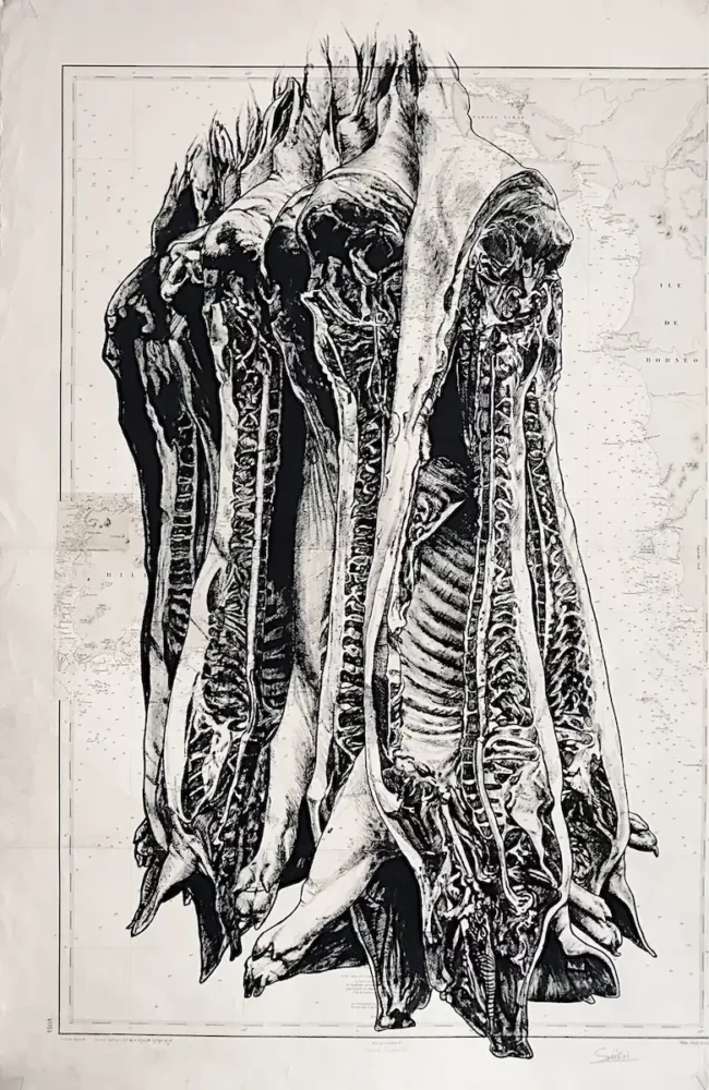 Carcasses - dessin contemporain de Franck Saïssi, encre de Chine sur carte marine
