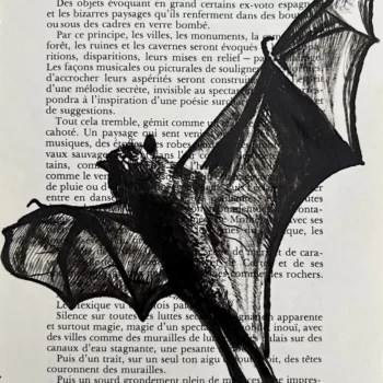 Chauve-souris, encre de Chine sur page de livre par Franck Saïssi