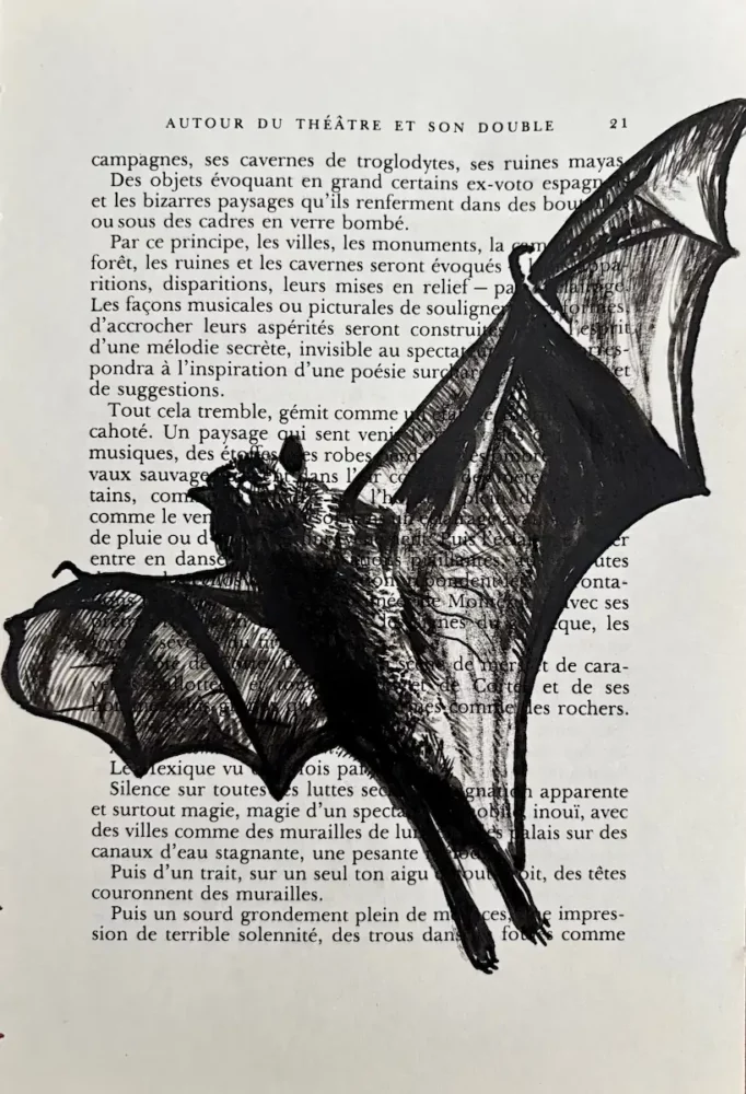 Chauve-souris, encre de Chine sur page de livre par Franck Saïssi