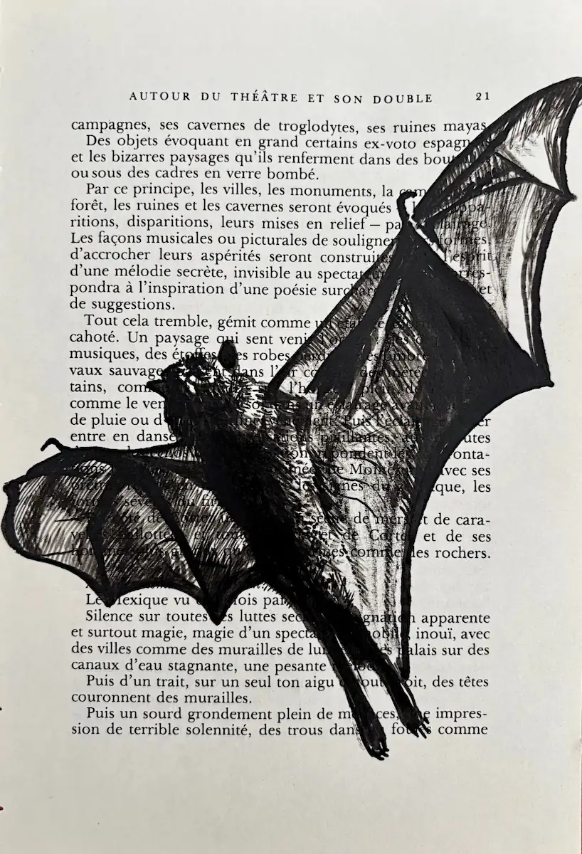 Chauve-souris, encre de Chine sur page de livre par Franck Saïssi