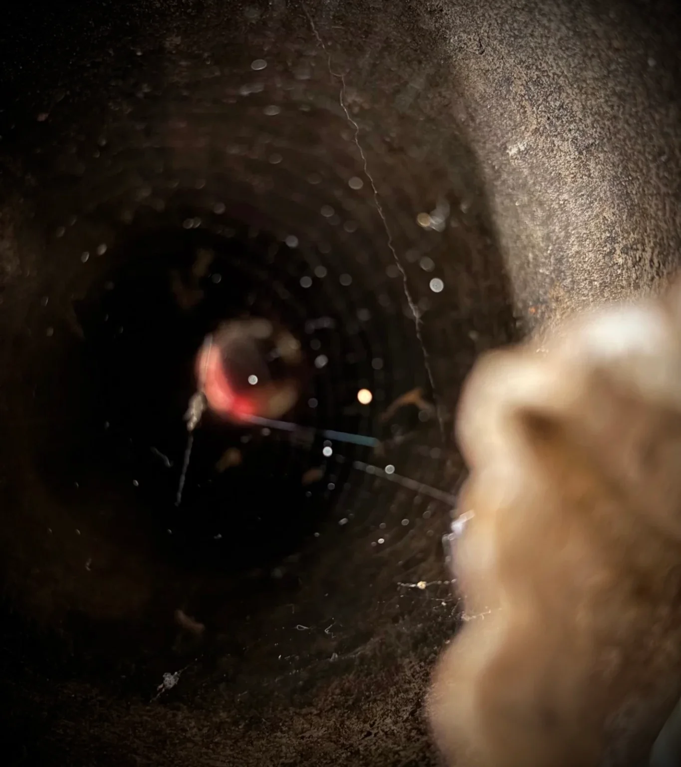 Texture d'atelier d'artiste en clair-obscur, point focal lumineux évoquant le cycle Persistence