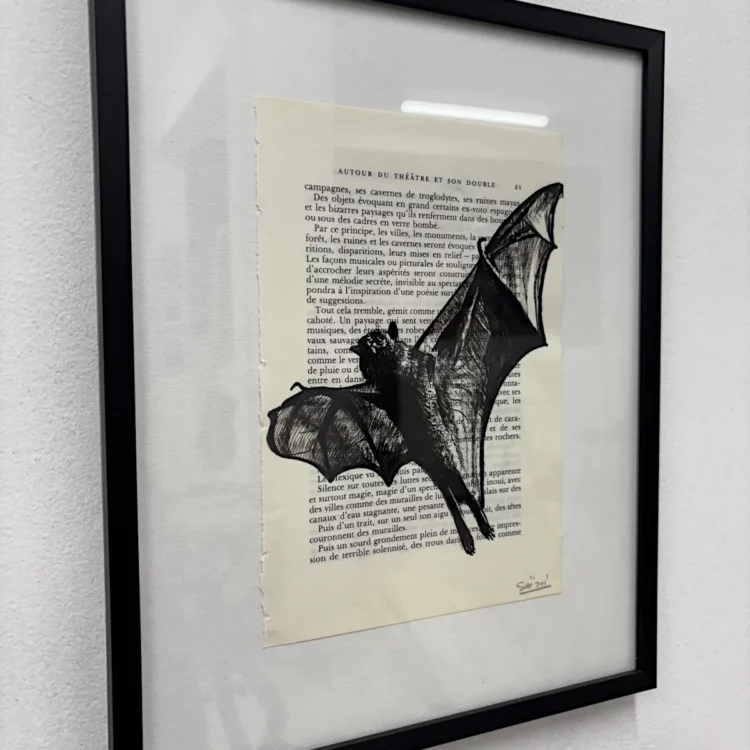 Chauve-souris, encadré, vue de côté, encre de Chine, store de Franck Saïssi