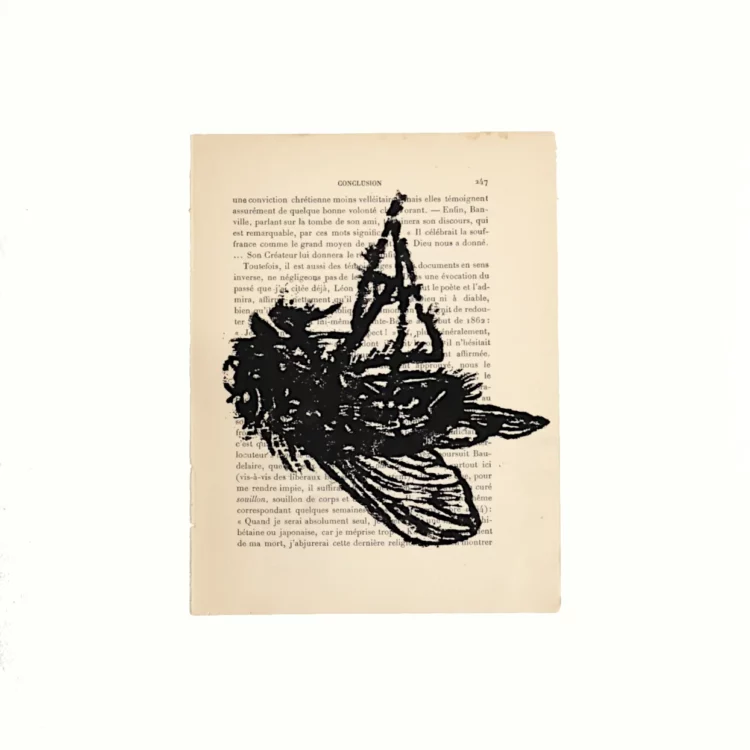 Xylogravure, la mouche, gravure sur bois sur page de livre ancienne, contrecollée sur papier Arches, par Franck Saïssi