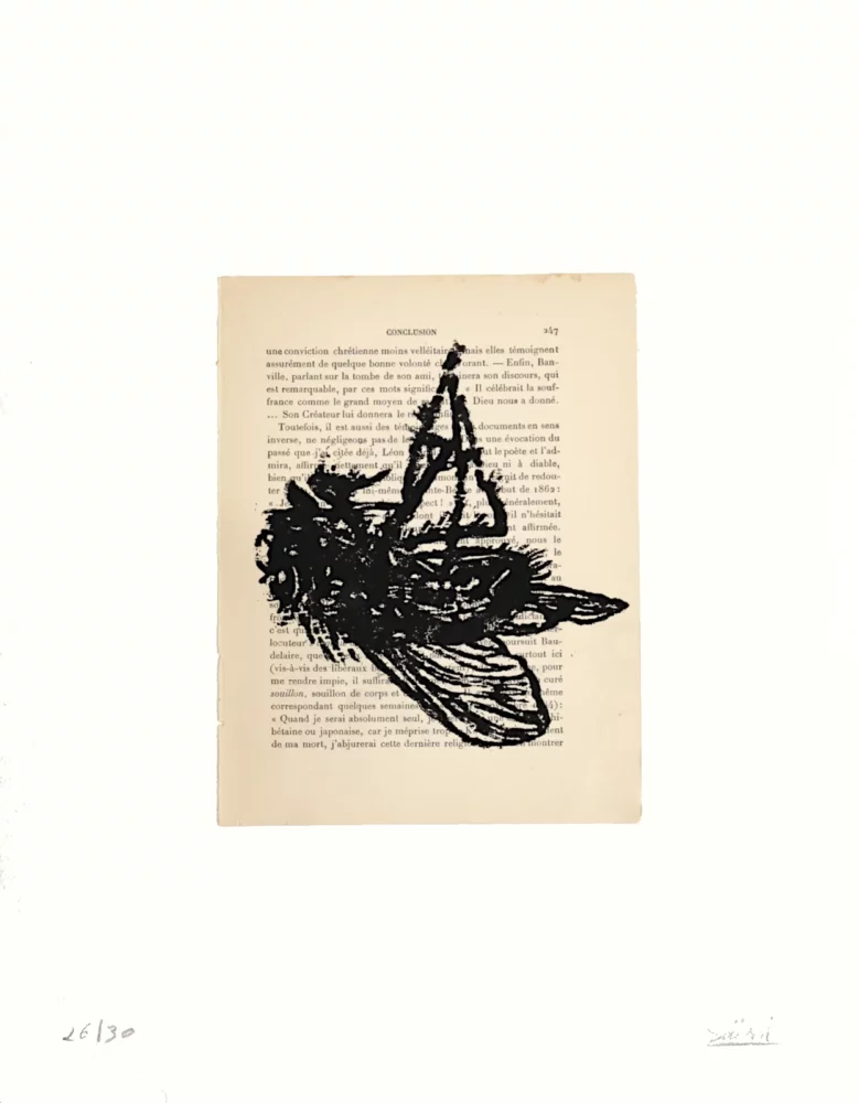 Xylogravure, la mouche, gravure sur bois sur page de livre ancienne, contrecollée sur papier Arches, par Franck Saïssi