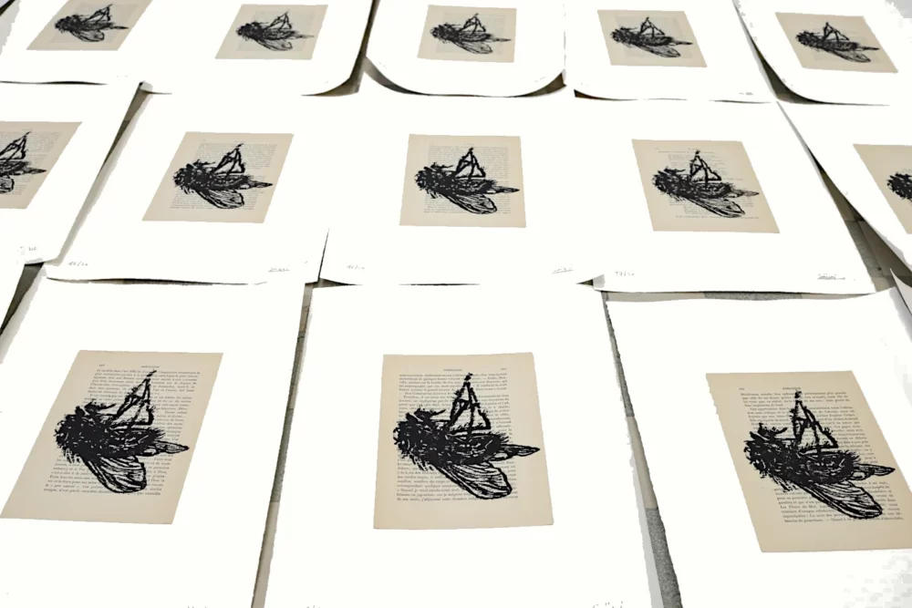 Xylogravure, la mouche, gravures sur bois sur page de livres anciennes, contrecollées sur papier Arches, par Franck Saïssi