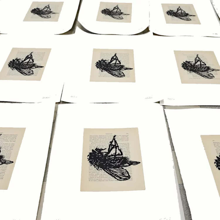 Xylogravure, la mouche, gravures sur bois sur page de livres anciennes, contrecollées sur papier Arches, par Franck Saïssi